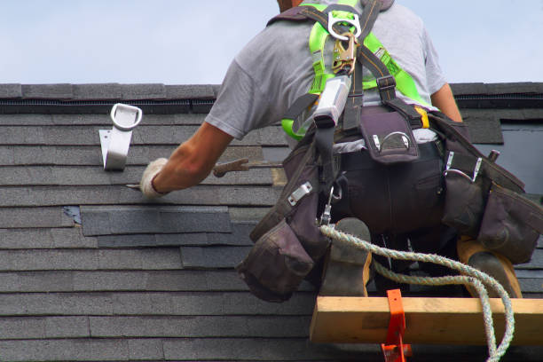 Best Roof Ventilation Installation  in Schler Park, IL