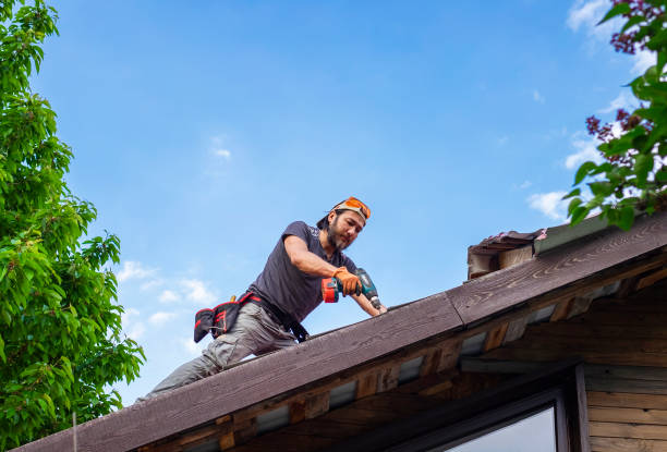 Best Metal Roofing Installation  in Schler Park, IL