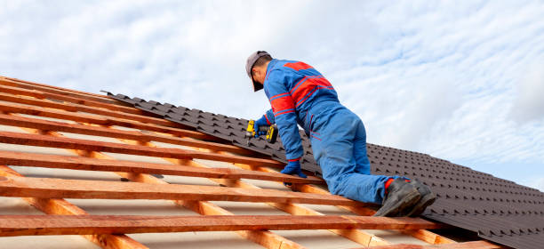 Best Roof Installation  in Schler Park, IL