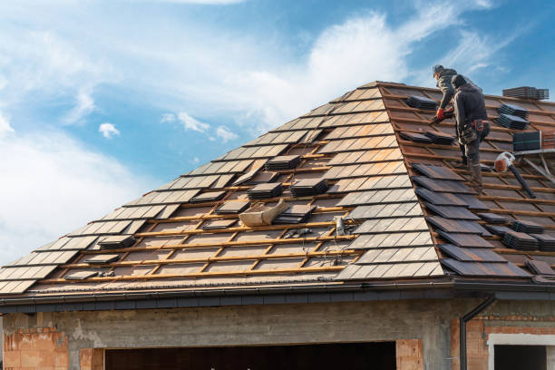 Best Skylight Installation and Repair  in Schler Park, IL
